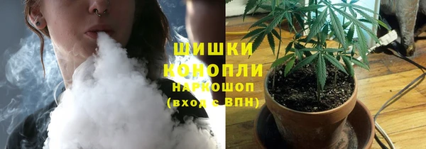 трава Осинники