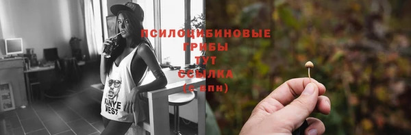 не бодяженный Алзамай