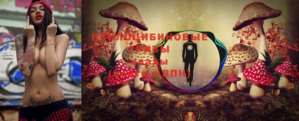 шишки Алексеевка