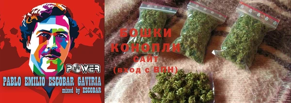 шишки Алексеевка