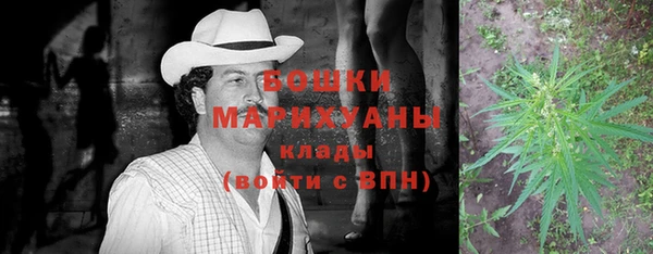 трава Осинники