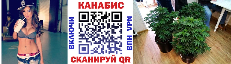 Бошки марихуана конопля Покров
