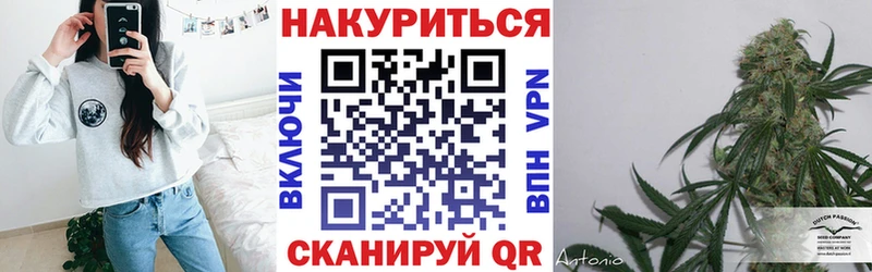 закладки  Покров  Конопля план 